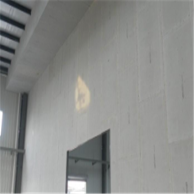 船山宁波ALC板|EPS加气板隔墙与混凝土整浇联接的实验研讨
